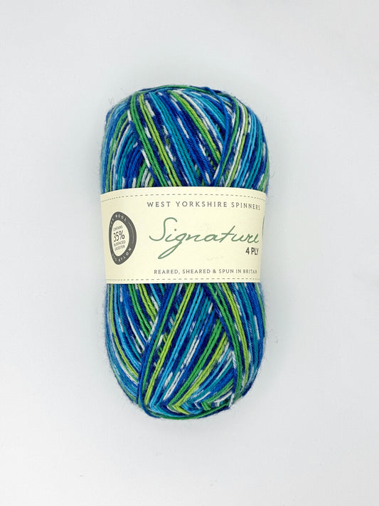 WYS Signature 4ply Country Birds